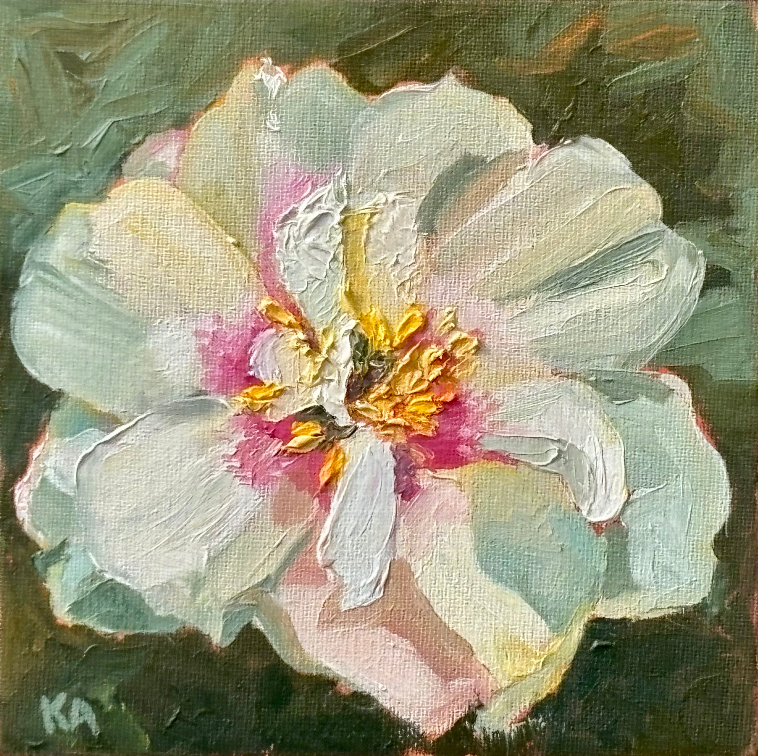 Peony Bloom